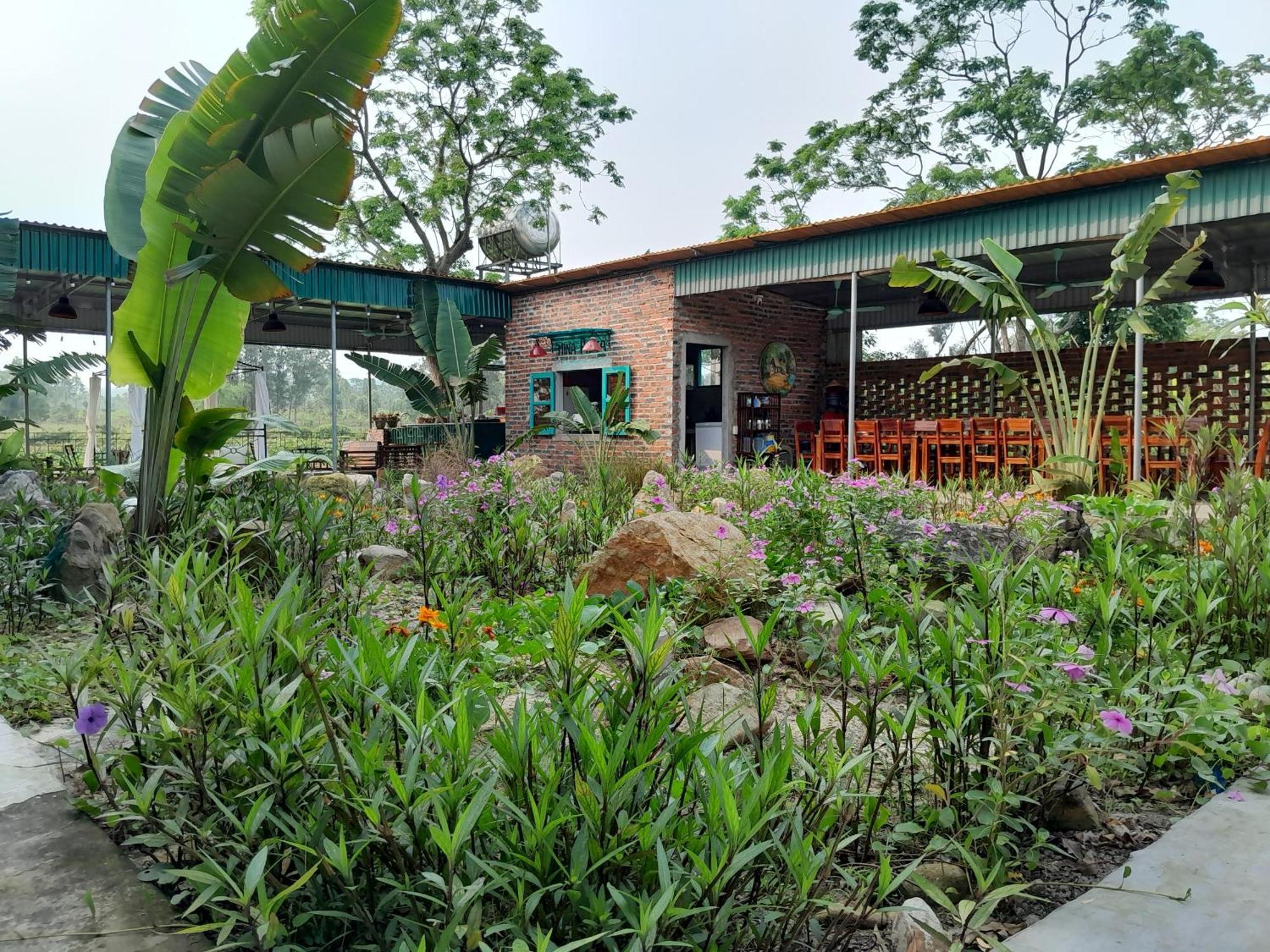 Mina Cafe & Stay Quan Lan Kültér fotó